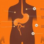 How omega-3 supports balanced hormones and glucose levels